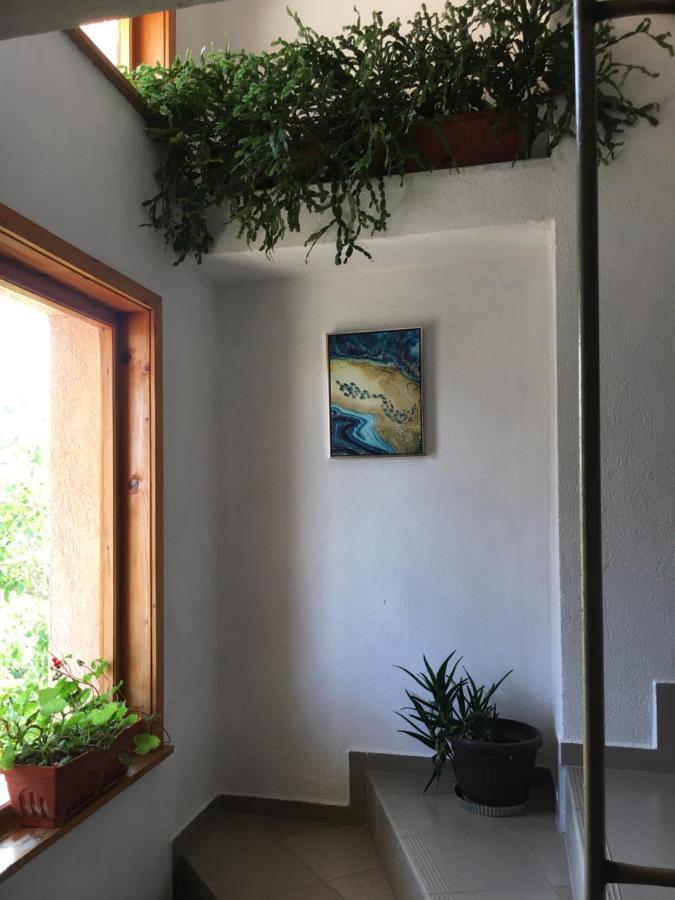 Chervenkov Guest House Τσερνομόρετς Εξωτερικό φωτογραφία
