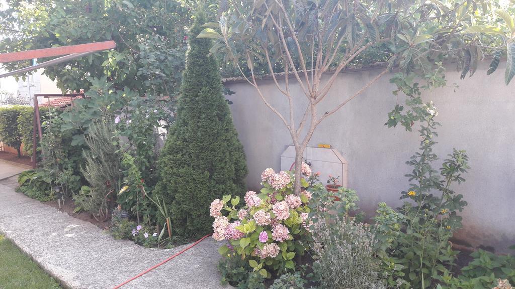Chervenkov Guest House Τσερνομόρετς Εξωτερικό φωτογραφία