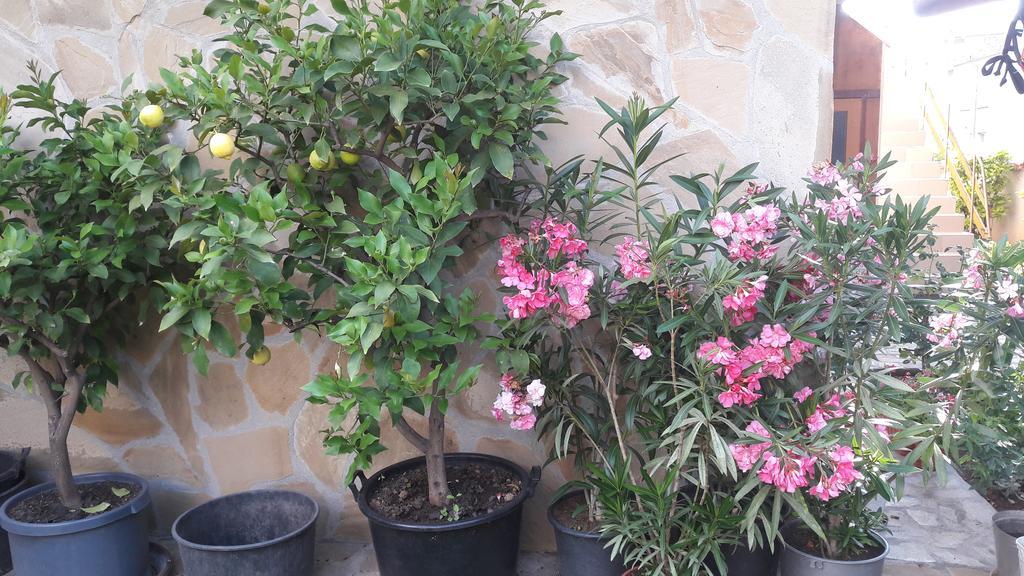 Chervenkov Guest House Τσερνομόρετς Εξωτερικό φωτογραφία